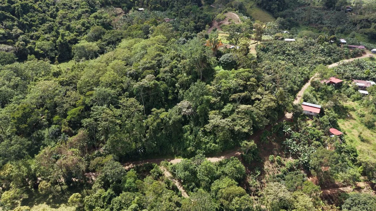 Land for Sale in San Francisco de Rivas: 4-Acre Jungle Parcel Near Chirripó National Park