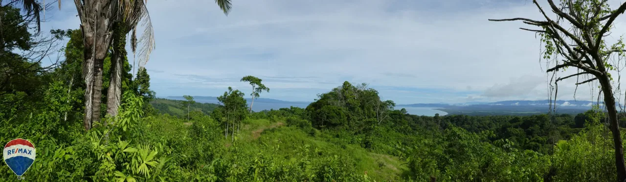 Finca With 360 Golfo Dulce View - | RE/MAX Jungle Properties