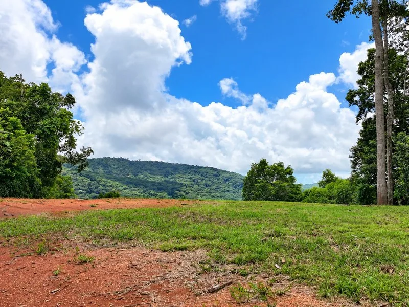 Land For Sale in Dominical