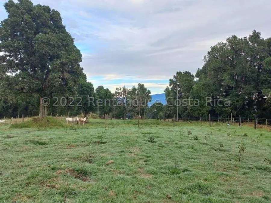 LOTE SOSTENIBLE EN VENTA EN LA PRIVACIDAD DE PÉREZ ZELEDÓN, ROSARIO DE PACUAR - Venta en Perez Zeledón, photo 11