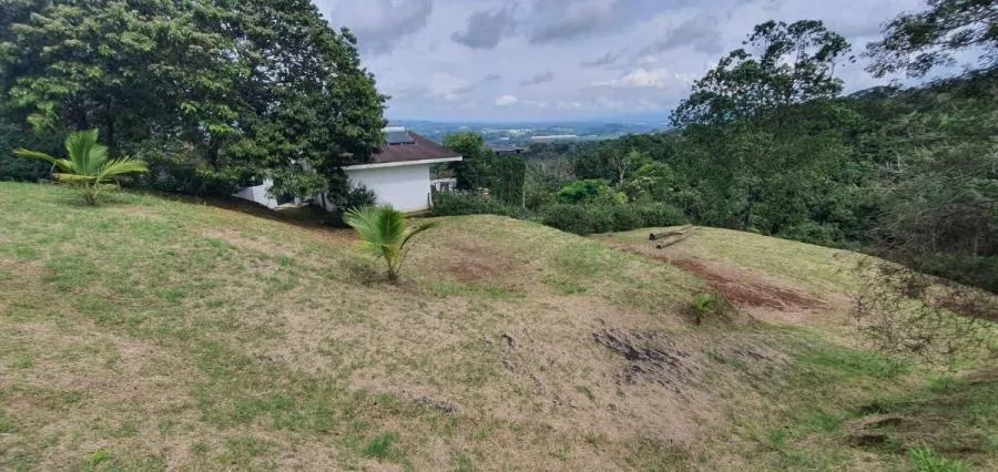 LOTE SOSTENIBLE EN VENTA EN LA PRIVACIDAD DE PÉREZ ZELEDÓN, ROSARIO DE PACUAR - Venta en Perez Zeledón, photo 14