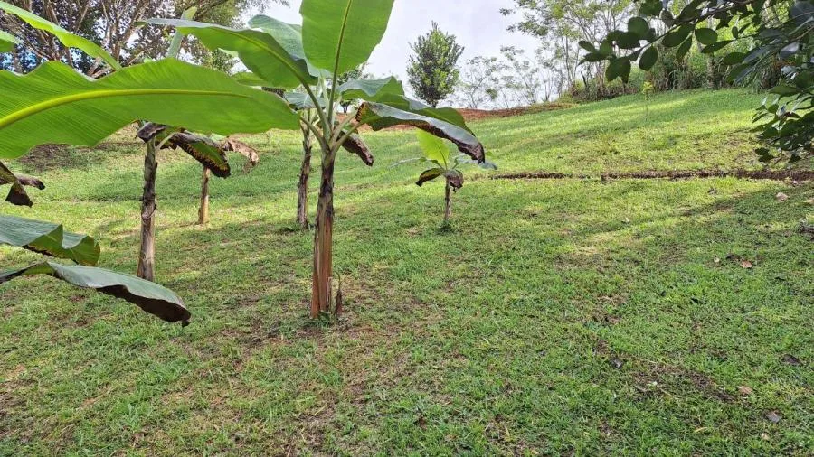 LOTE SOSTENIBLE EN VENTA EN LA PRIVACIDAD DE PÉREZ ZELEDÓN, ROSARIO DE PACUAR - Venta en Perez Zeledón, photo 9