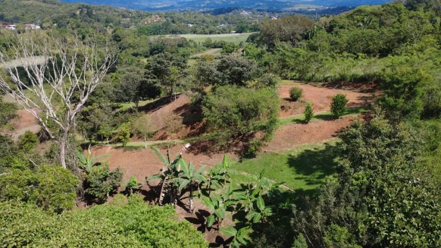 LOTE SOSTENIBLE EN VENTA EN LA PRIVACIDAD DE PÉREZ ZELEDÓN, ROSARIO DE PACUAR - Venta en Perez Zeledón, photo 10