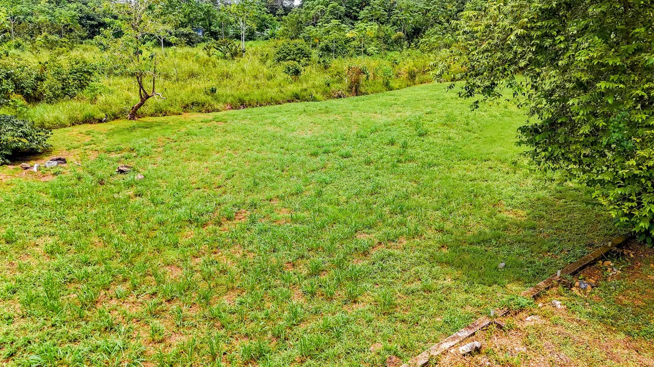 FLAT 0.59-ACRE LOT WITH DIRECT ACCESS TO THE COASTAL ROAD AND HIGH COMMERCIAL POTENTIAL IN CORONADO TRES RIOS, photo 11