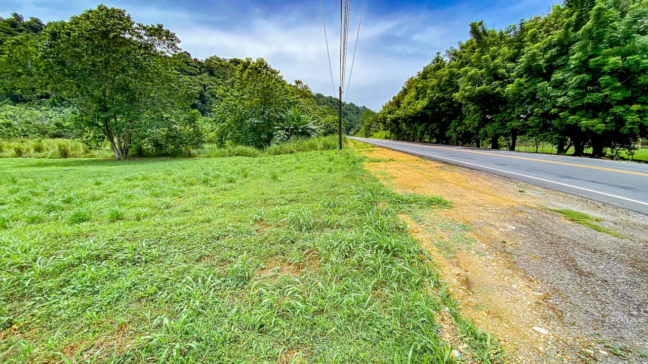 FLAT 0.59-ACRE LOT WITH DIRECT ACCESS TO THE COASTAL ROAD AND HIGH COMMERCIAL POTENTIAL IN CORONADO TRES RIOS, photo 15