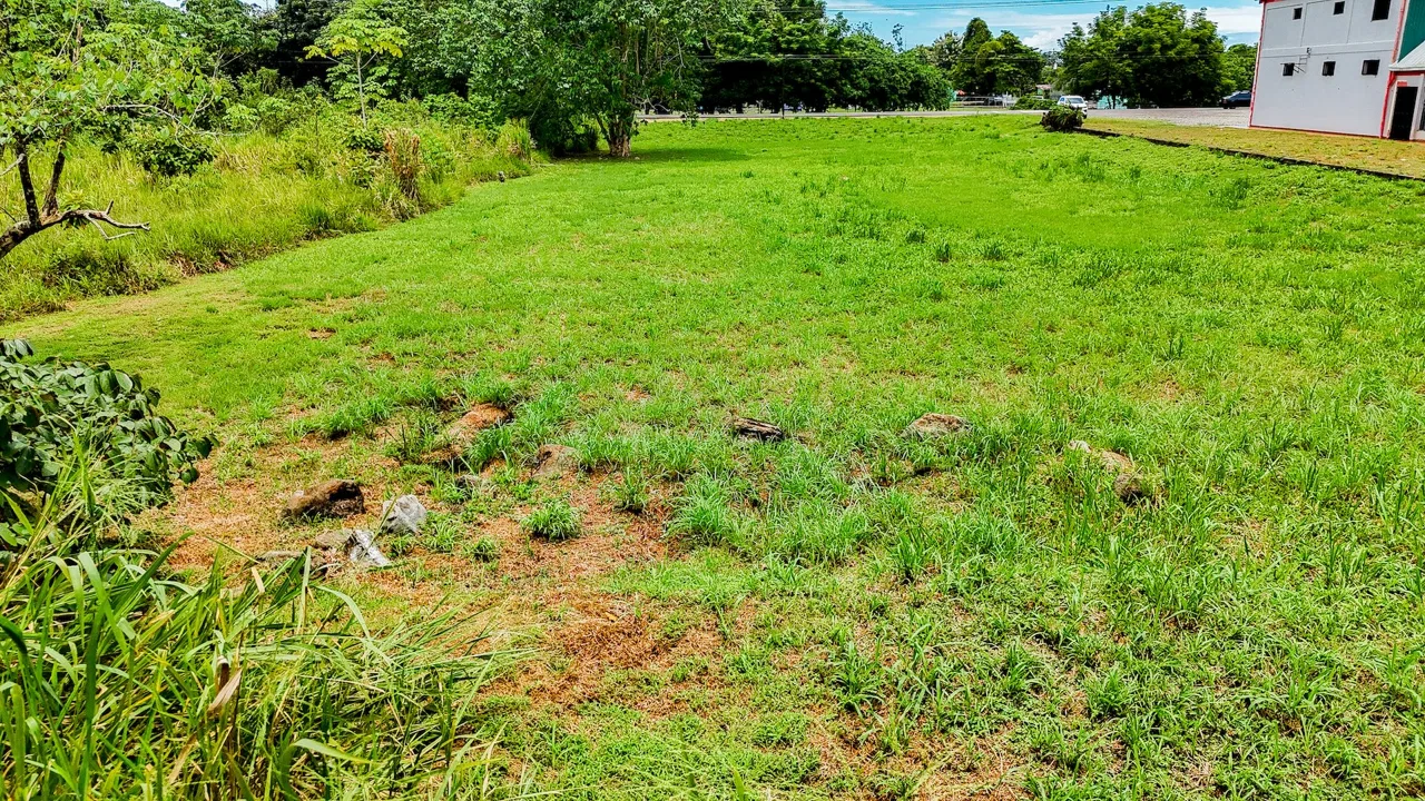 FLAT 0.59-ACRE LOT WITH DIRECT ACCESS TO THE COASTAL ROAD AND HIGH COMMERCIAL POTENTIAL IN CORONADO TRES RIOS, photo 6