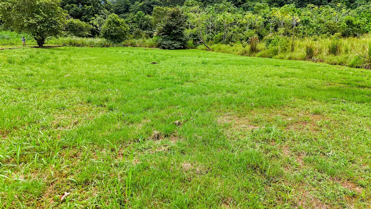 FLAT 0.59-ACRE LOT WITH DIRECT ACCESS TO THE COASTAL ROAD AND HIGH COMMERCIAL POTENTIAL IN CORONADO TRES RIOS, photo 7