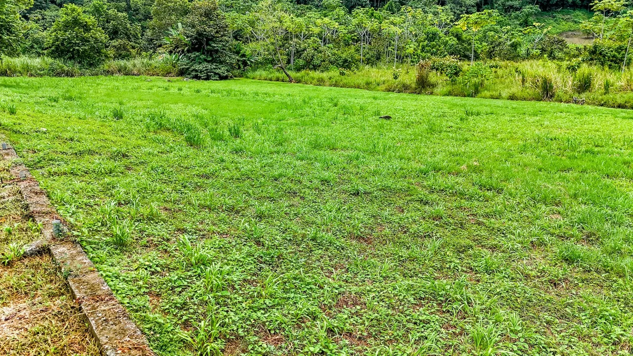 FLAT 0.59-ACRE LOT WITH DIRECT ACCESS TO THE COASTAL ROAD AND HIGH COMMERCIAL POTENTIAL IN CORONADO TRES RIOS, photo 8