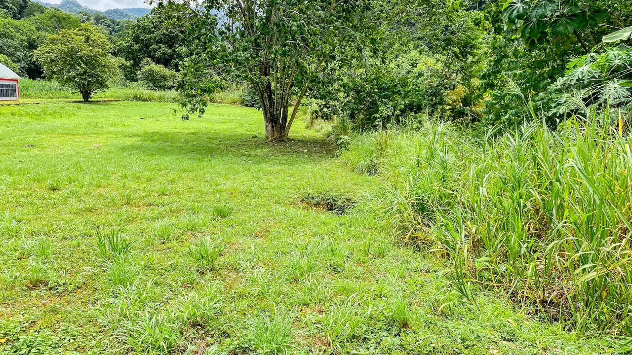 FLAT 0.59-ACRE LOT WITH DIRECT ACCESS TO THE COASTAL ROAD AND HIGH COMMERCIAL POTENTIAL IN CORONADO TRES RIOS, photo 9