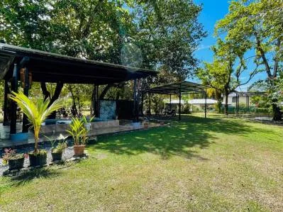 A poca distancia de la playa en Uvita: moderna casa con piscina por menos de $400,000., photo 7