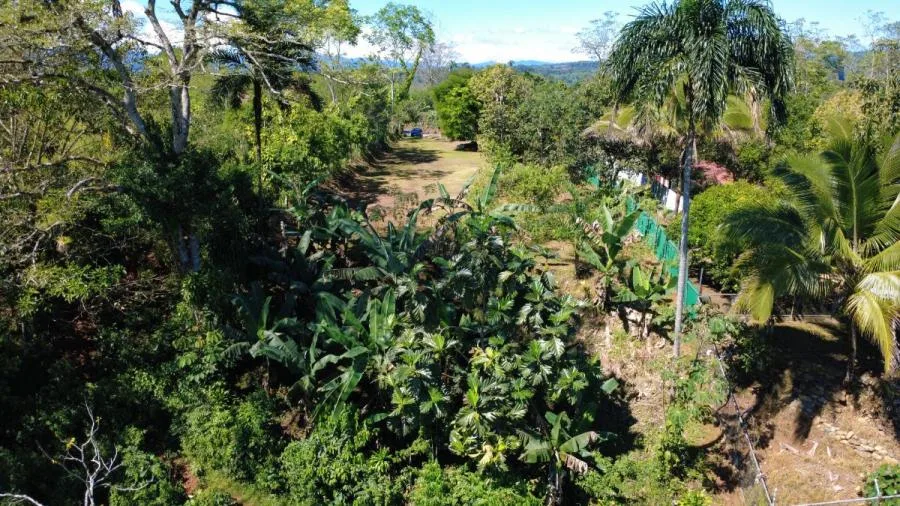 EN VENTA: LOTE LISTO PARA CONSTRUIR EN SAN PEDRO, PÉREZ ZELEDÓN - Venta en Perez Zeledón, photo 8