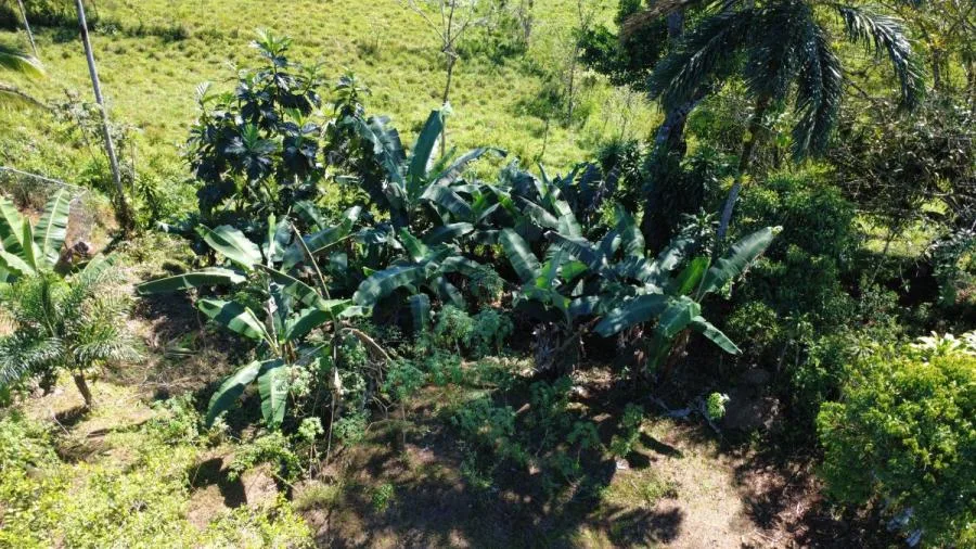 EN VENTA: LOTE LISTO PARA CONSTRUIR EN SAN PEDRO, PÉREZ ZELEDÓN - Venta en Perez Zeledón, photo 9