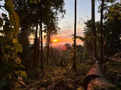 Lote con vista al océano en primera línea en las exclusivas montañas de La Unión., photo 4