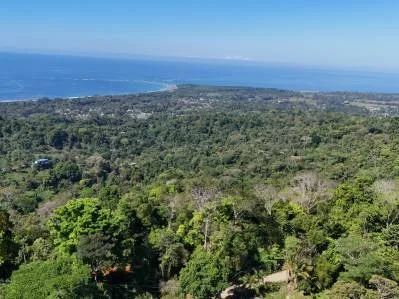 Lote con vista al océano en primera línea en las exclusivas montañas de La Unión., photo 6