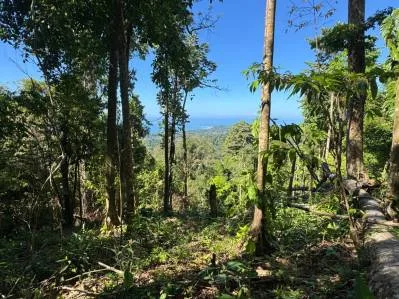 Lote con vista al océano en primera línea en las exclusivas montañas de La Unión., photo 8