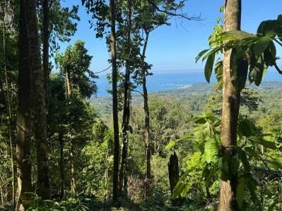 Lote con vista al océano en primera línea en las exclusivas montañas de La Unión., photo 9