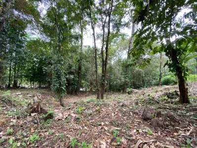 Propiedad comercial de primera frente al río en el centro de Ojochal, photo 2