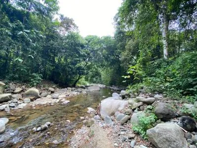 Propiedad comercial de primera frente al río en el centro de Ojochal, photo 3