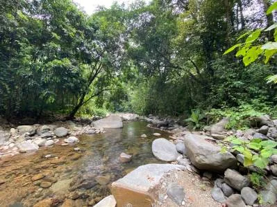 Propiedad comercial de primera frente al río en el centro de Ojochal, photo 4
