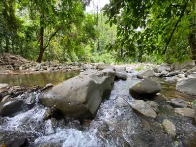 Propiedad comercial de primera frente al río en el centro de Ojochal, photo 6