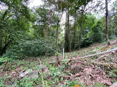 Propiedad comercial de primera frente al río en el centro de Ojochal, photo 8