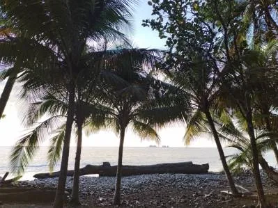 Propiedad comercial de primera frente al río en el centro de Ojochal, photo 10