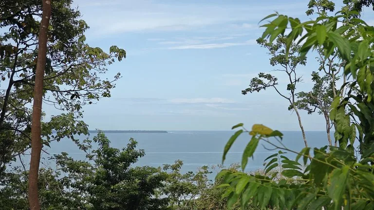 ID 345: 6,763m² Ocean View Development Land for Sale in Puerto Viejo, photo 2