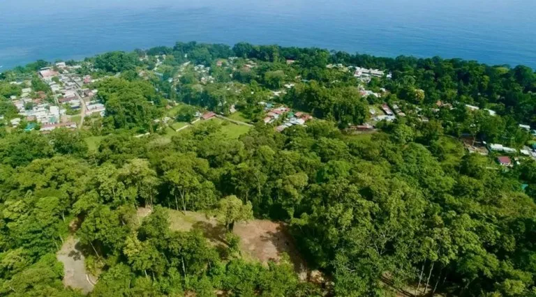 ID 345: 6,763m² Ocean View Development Land for Sale in Puerto Viejo, photo 11