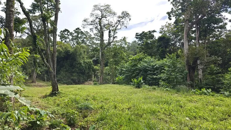 ID 345: 6,763m² Ocean View Development Land for Sale in Puerto Viejo, photo 3