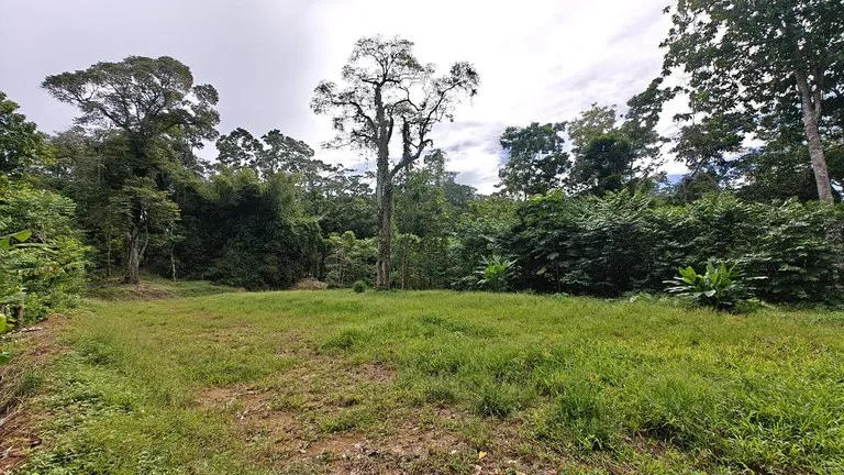 ID 345: 6,763m² Ocean View Development Land for Sale in Puerto Viejo, photo 4