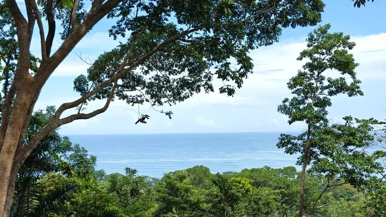 ID 345: 6,763m² Ocean View Development Land for Sale in Puerto Viejo, photo 5