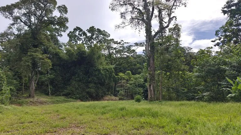 ID 345: 6,763m² Ocean View Development Land for Sale in Puerto Viejo, photo 6