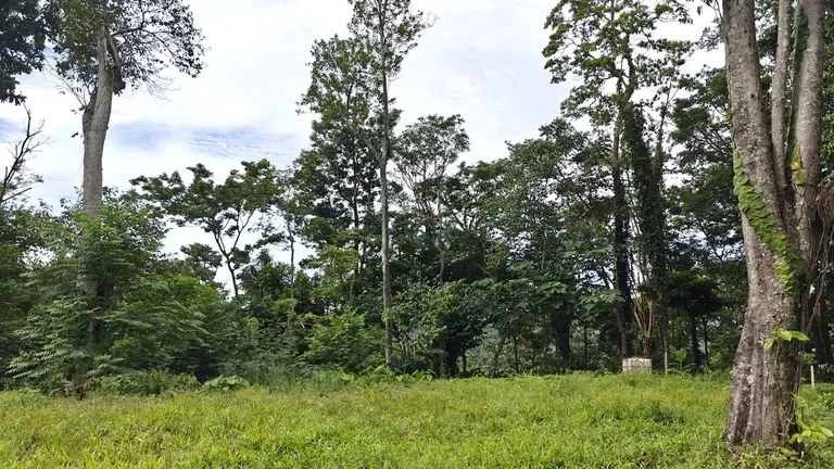 ID 345: 6,763m² Ocean View Development Land for Sale in Puerto Viejo, photo 7