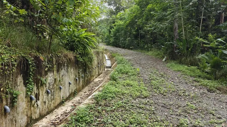 ID 345: 6,763m² Ocean View Development Land for Sale in Puerto Viejo, photo 8