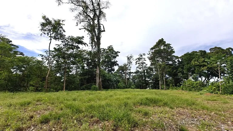 ID 345: 6,763m² Ocean View Development Land for Sale in Puerto Viejo, photo 9
