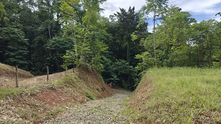 ID 345: 6,763m² Ocean View Development Land for Sale in Puerto Viejo, photo 10