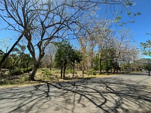 Excelente oportunidad para desarrollo residencial, proyecto vacacional o inversión en ...