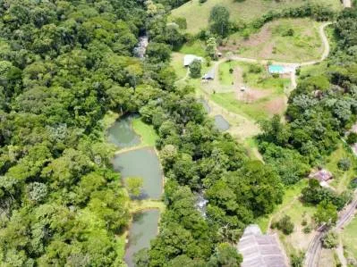 "Paraíso Natural: En La Linda de General Viejo, 13 Hectáreas de Serenidad y Oportunidades Únicas"