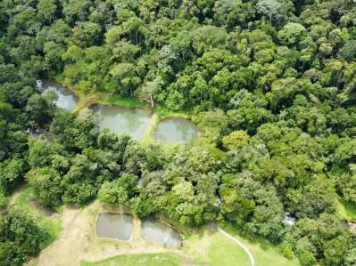 "Paraíso Natural: En La Linda de General Viejo, 13 Hectáreas de Serenidad y Oportunidades Únicas", photo 2
