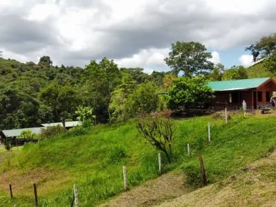 "Paraíso Natural: En La Linda de General Viejo, 13 Hectáreas de Serenidad y Oportunidades Únicas", photo 3