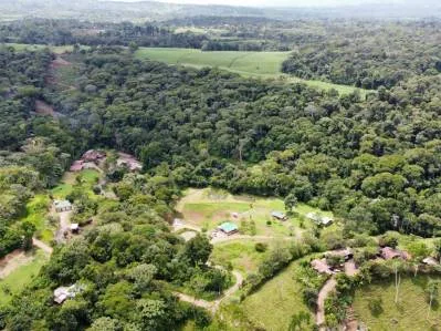 "Paraíso Natural: En La Linda de General Viejo, 13 Hectáreas de Serenidad y Oportunidades Únicas", photo 4