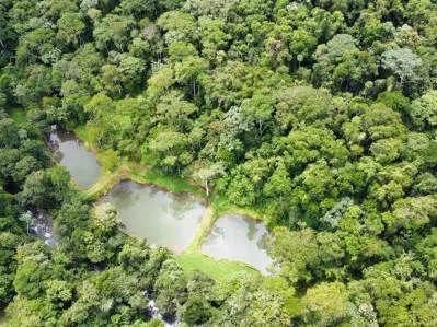 "Paraíso Natural: En La Linda de General Viejo, 13 Hectáreas de Serenidad y Oportunidades Únicas", photo 6
