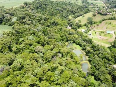 "Paraíso Natural: En La Linda de General Viejo, 13 Hectáreas de Serenidad y Oportunidades Únicas", photo 7