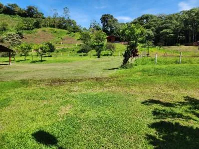 "Paraíso Natural: En La Linda de General Viejo, 13 Hectáreas de Serenidad y Oportunidades Únicas", photo 9