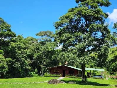 "Paraíso Natural: En La Linda de General Viejo, 13 Hectáreas de Serenidad y Oportunidades Únicas", photo 10