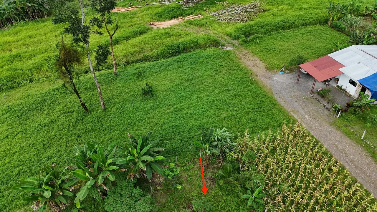 Residential Lot for Sale in Río Frío, Sarapiquí (AD), photo 11