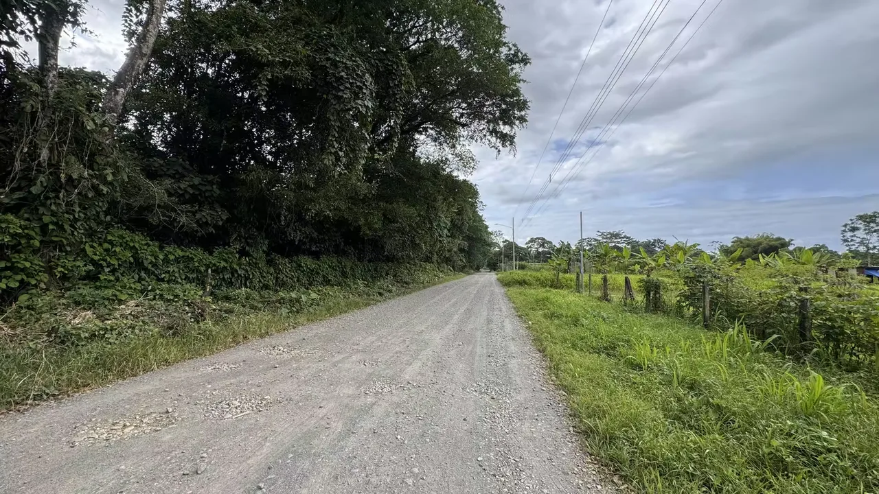 Residential Lot for Sale in Río Frío, Sarapiquí (AD), photo 12
