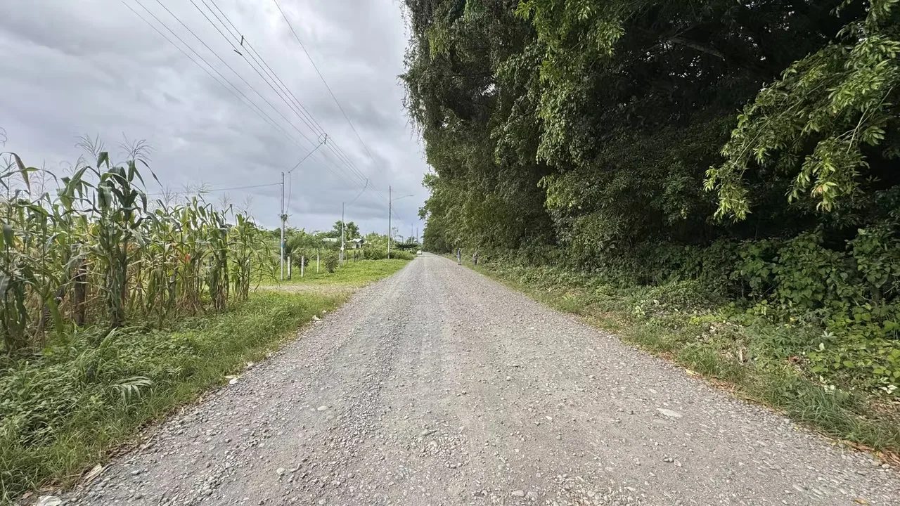 Residential Lot for Sale in Río Frío, Sarapiquí (AD), photo 13