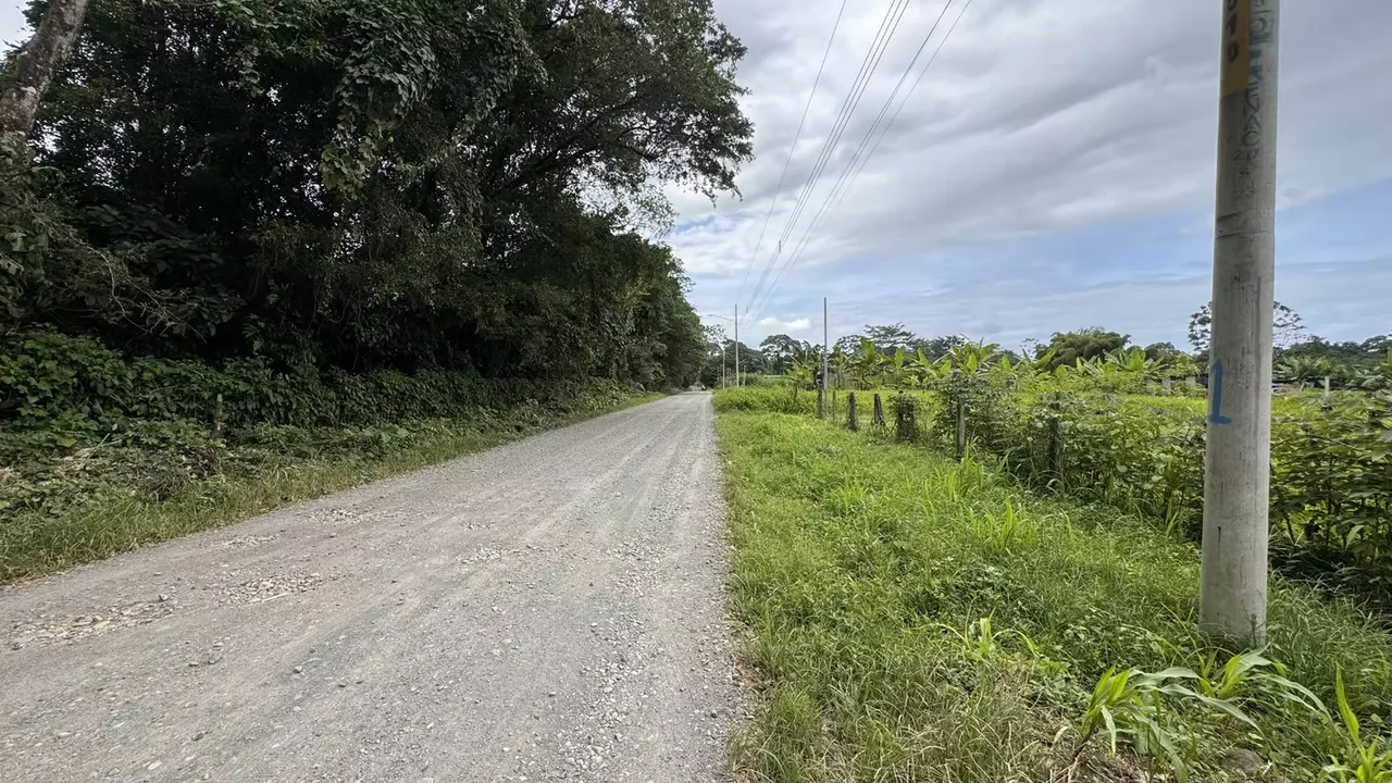 Residential Lot for Sale in Río Frío, Sarapiquí (AD), photo 14