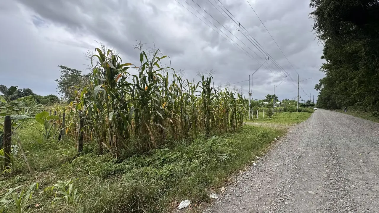 Residential Lot for Sale in Río Frío, Sarapiquí (AD), photo 15